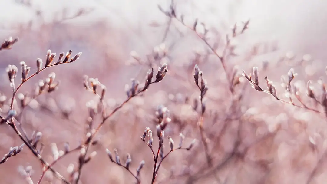 Introductiesessie Psyck-k